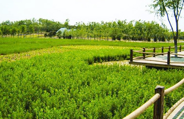 彩乐园·(中国区)官方网站