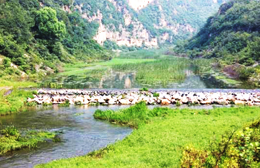 彩乐园·(中国区)官方网站