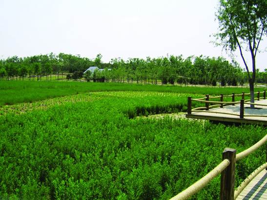 彩乐园·(中国区)官方网站