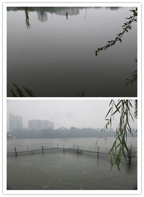 彩乐园·(中国区)官方网站