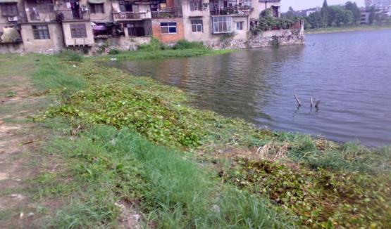 彩乐园·(中国区)官方网站