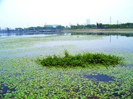 彩乐园·(中国区)官方网站