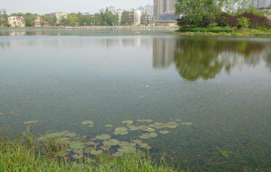 彩乐园·(中国区)官方网站