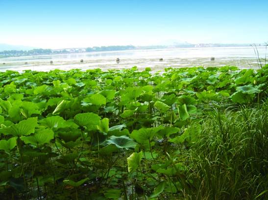 彩乐园·(中国区)官方网站