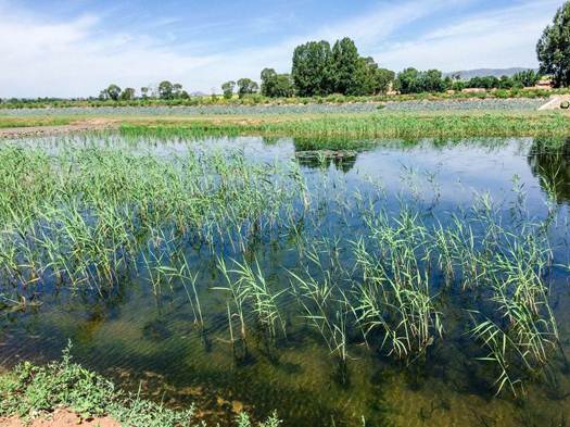 彩乐园·(中国区)官方网站