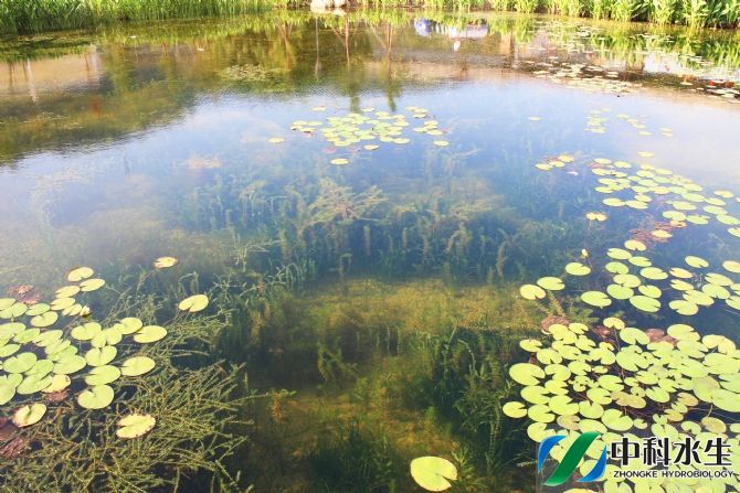 彩乐园·(中国区)官方网站