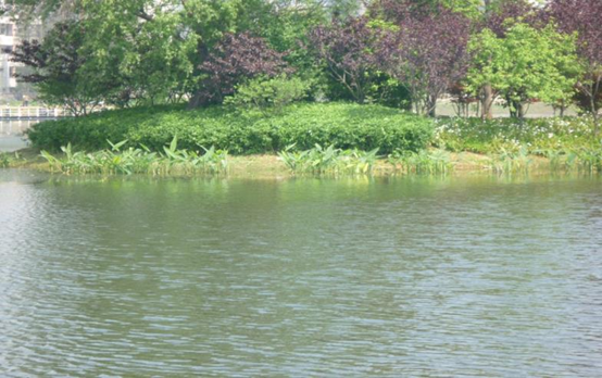 彩乐园·(中国区)官方网站