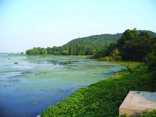 彩乐园·(中国区)官方网站