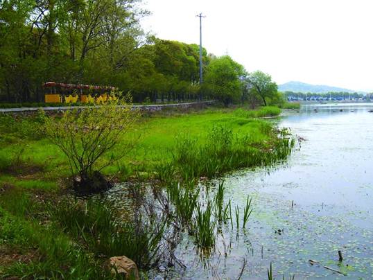 彩乐园·(中国区)官方网站