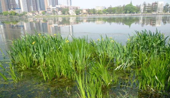 彩乐园·(中国区)官方网站