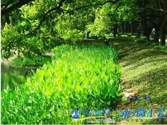 彩乐园·(中国区)官方网站