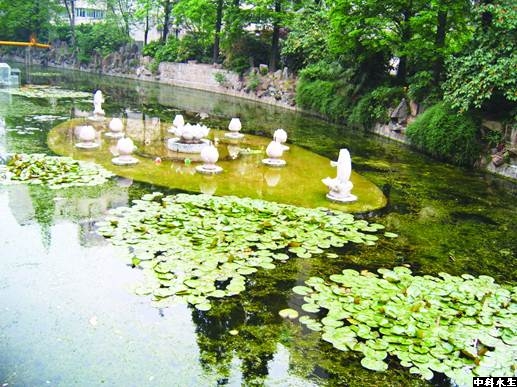 彩乐园·(中国区)官方网站