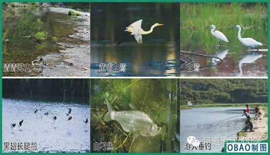 彩乐园·(中国区)官方网站