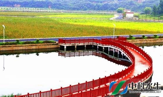 彩乐园·(中国区)官方网站