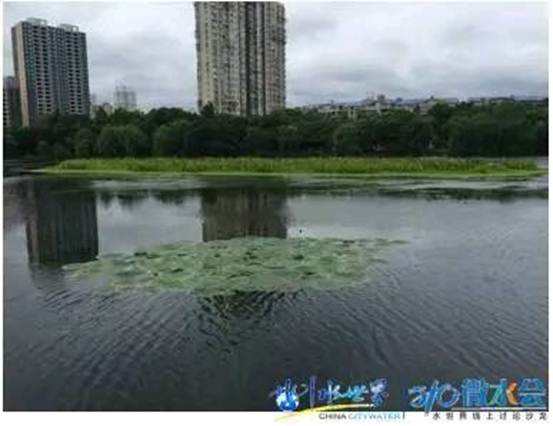 彩乐园·(中国区)官方网站