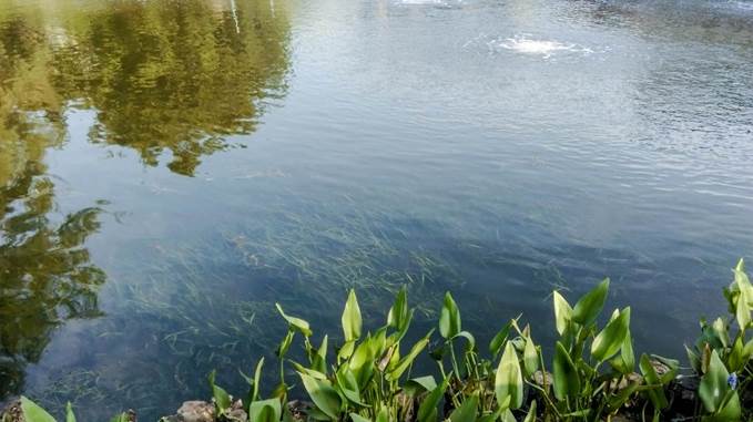 彩乐园·(中国区)官方网站