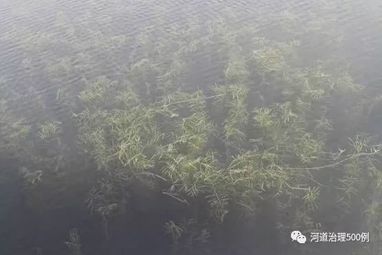 彩乐园·(中国区)官方网站