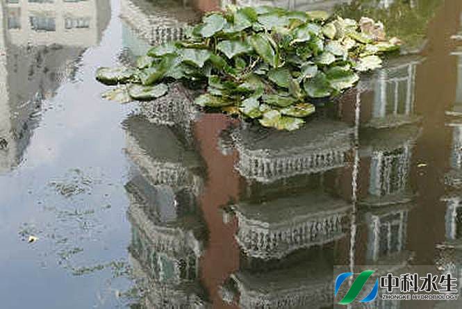 彩乐园·(中国区)官方网站