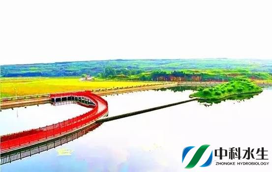 彩乐园·(中国区)官方网站