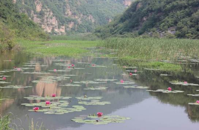 彩乐园·(中国区)官方网站