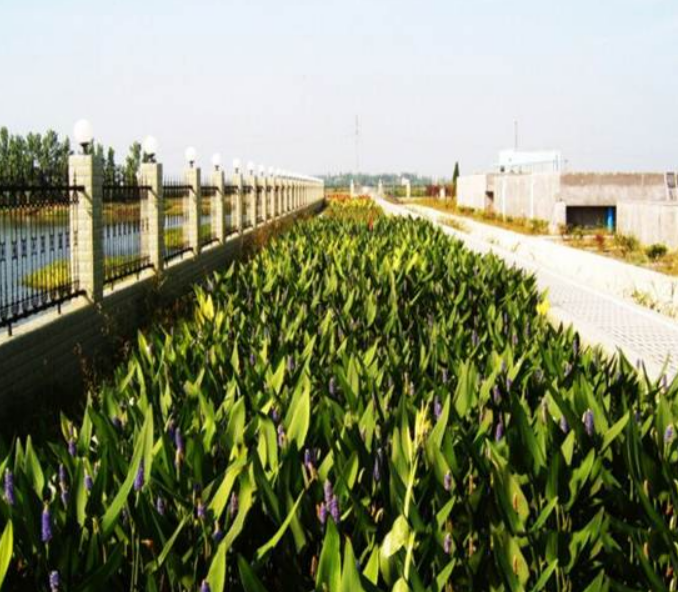 彩乐园·(中国区)官方网站