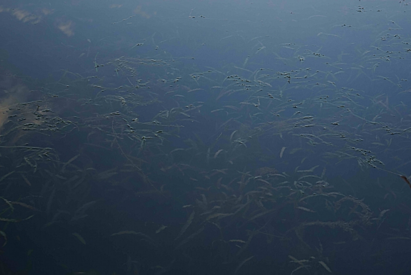 彩乐园·(中国区)官方网站