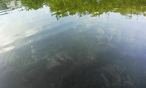 彩乐园·(中国区)官方网站