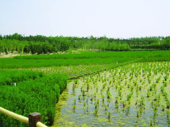 彩乐园·(中国区)官方网站