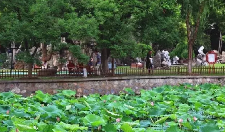 彩乐园·(中国区)官方网站