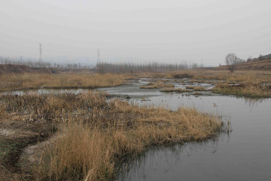 彩乐园·(中国区)官方网站