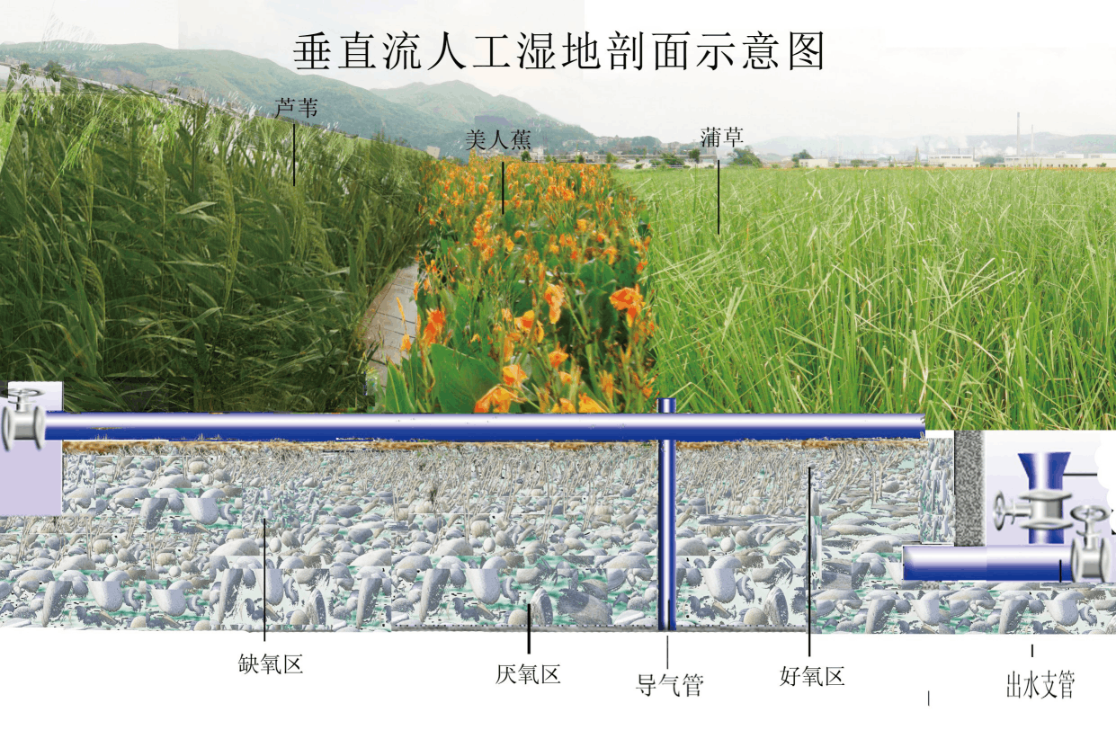 彩乐园·(中国区)官方网站