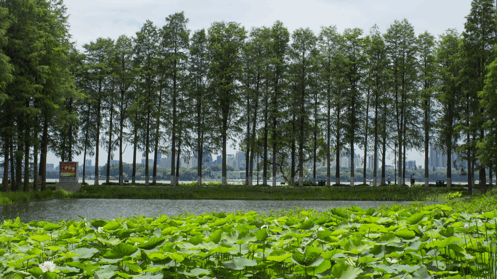 彩乐园·(中国区)官方网站