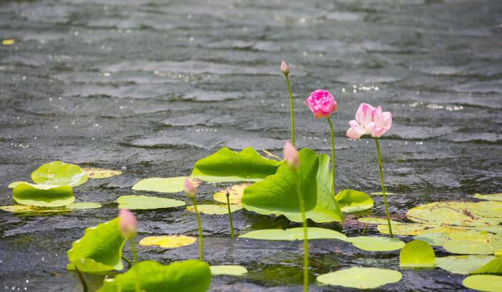 彩乐园·(中国区)官方网站