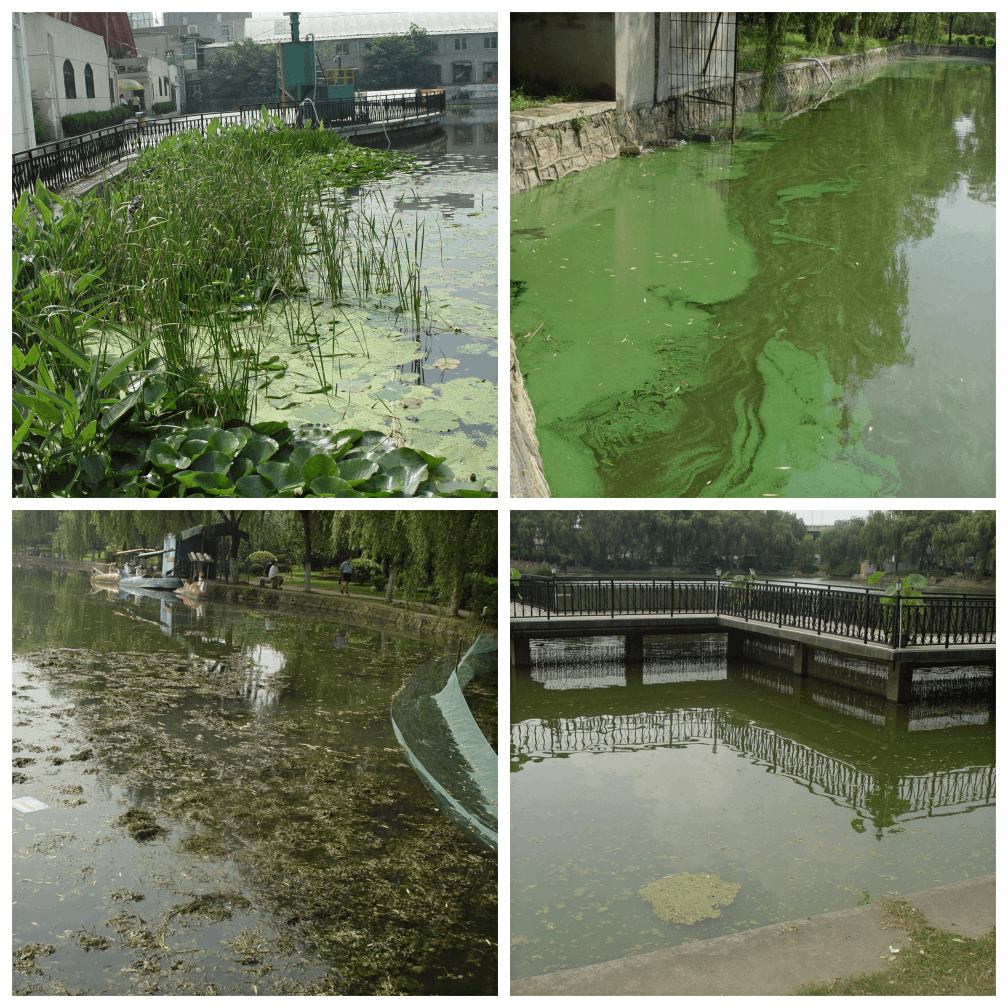 彩乐园·(中国区)官方网站