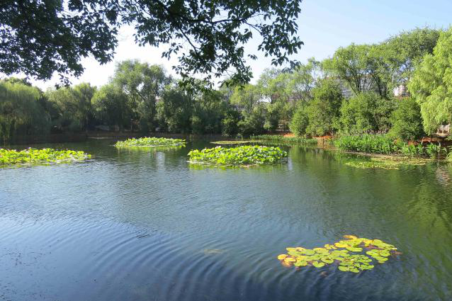 彩乐园·(中国区)官方网站