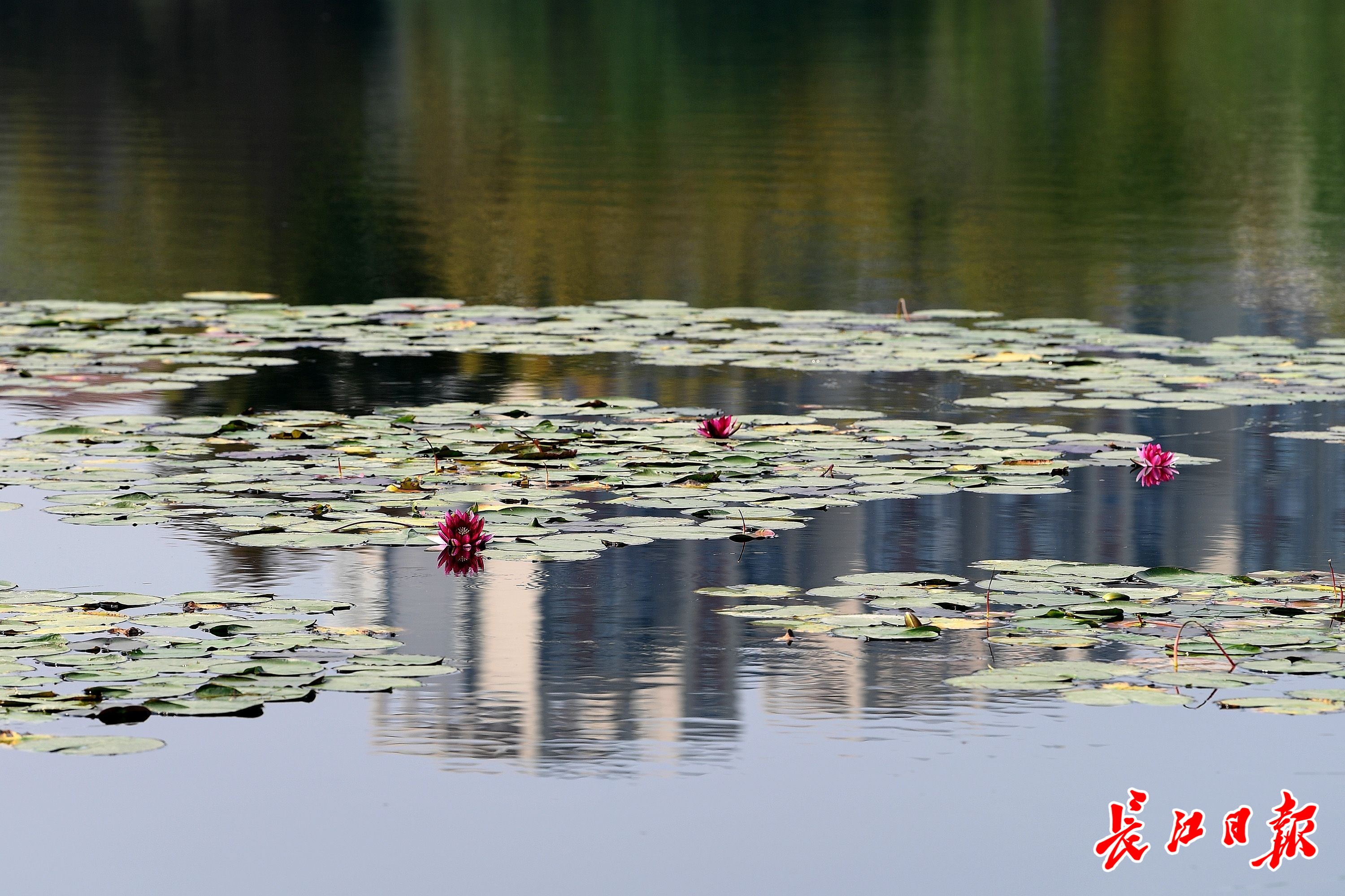 彩乐园·(中国区)官方网站