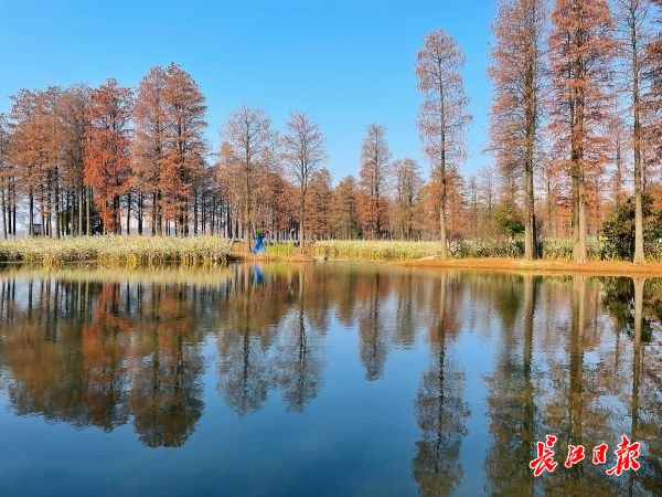 彩乐园·(中国区)官方网站