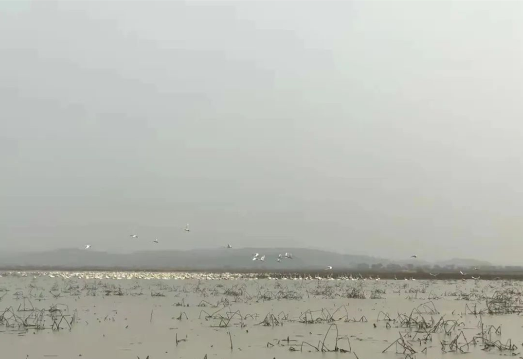 彩乐园·(中国区)官方网站