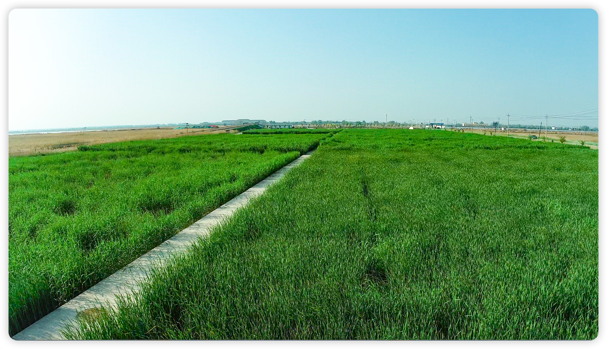 彩乐园·(中国区)官方网站