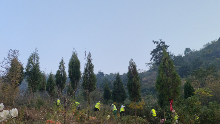 彩乐园·(中国区)官方网站